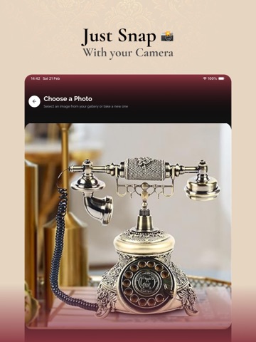 Antique Value ID - AntiqueIQ iPad screenshot