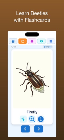 100 Beetles: Kabutomushi Kids iPhone screenshot