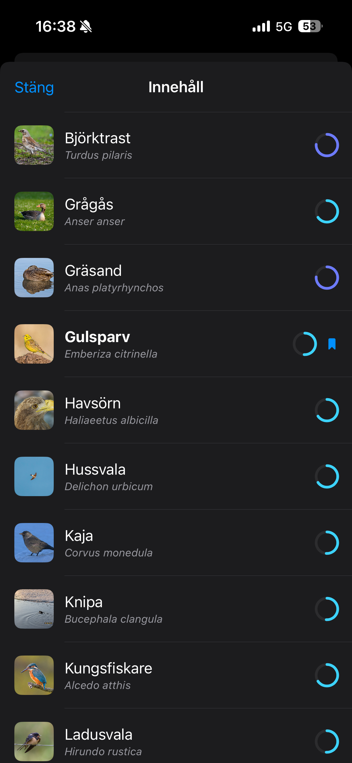 Fågelbok screenshot 4