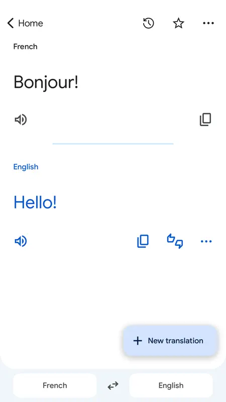 Google Translate screenshot 5 of 6