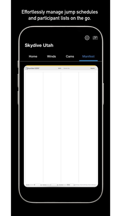 SkydiveX Screenshot
