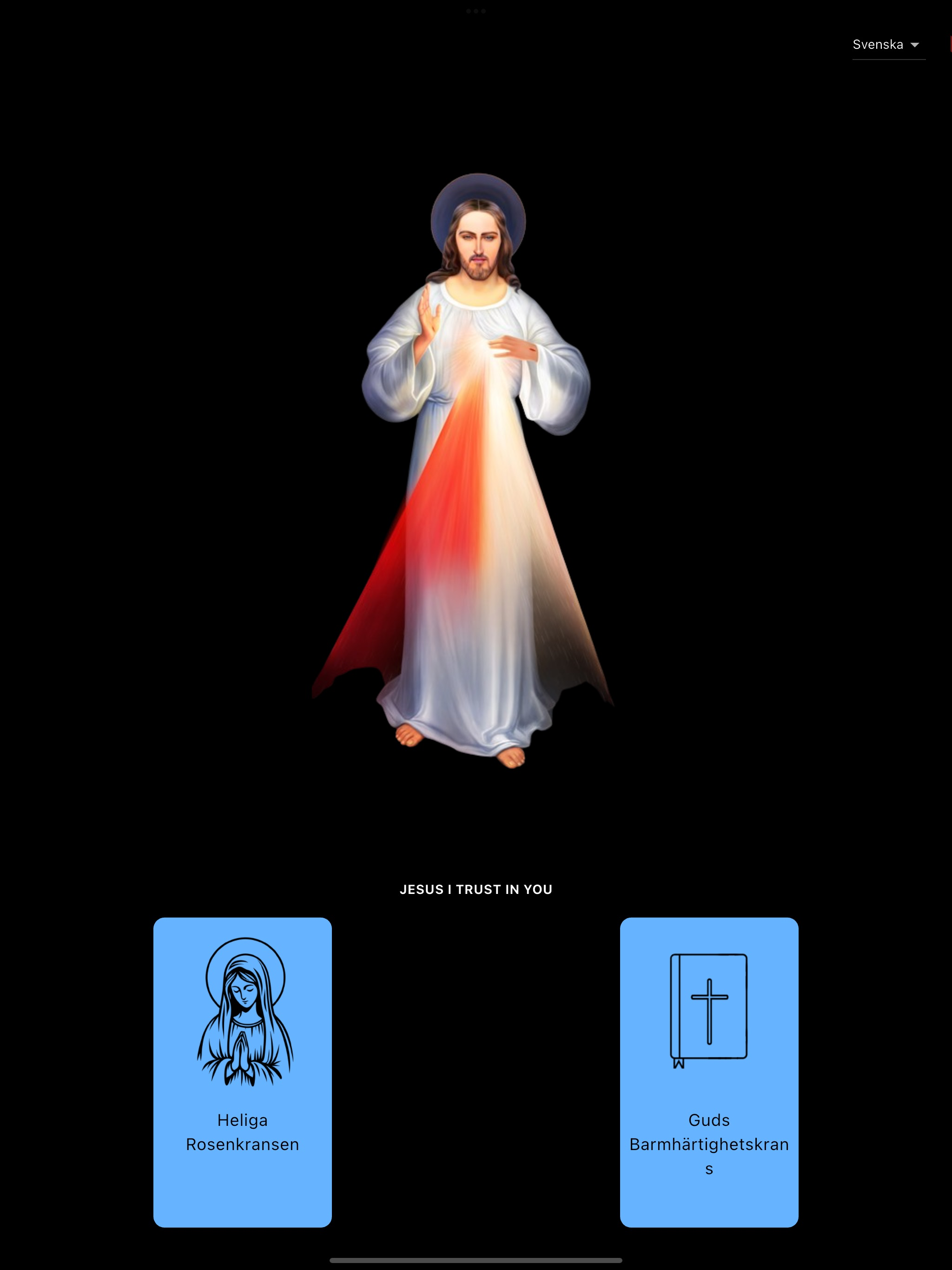 THE HOUR OF MERCY