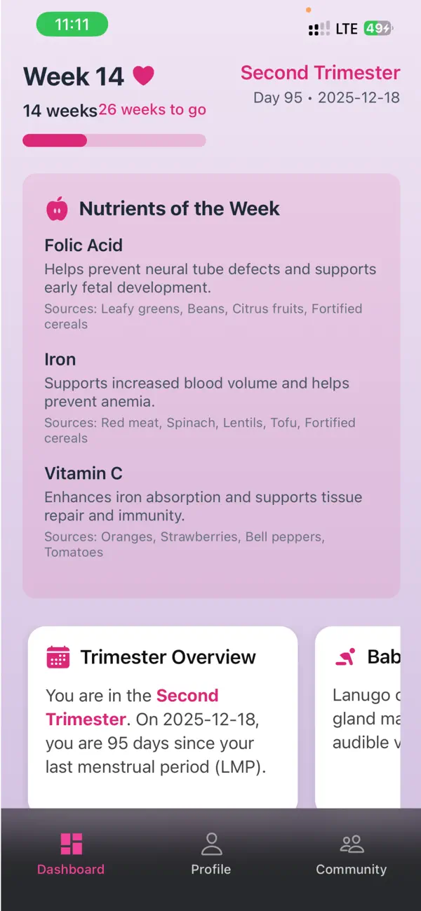 Screenshot #2 pour Gravida: Pregnancy & Family