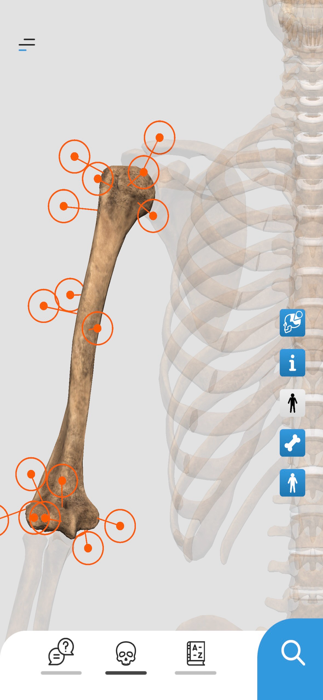 Anatomy2Me