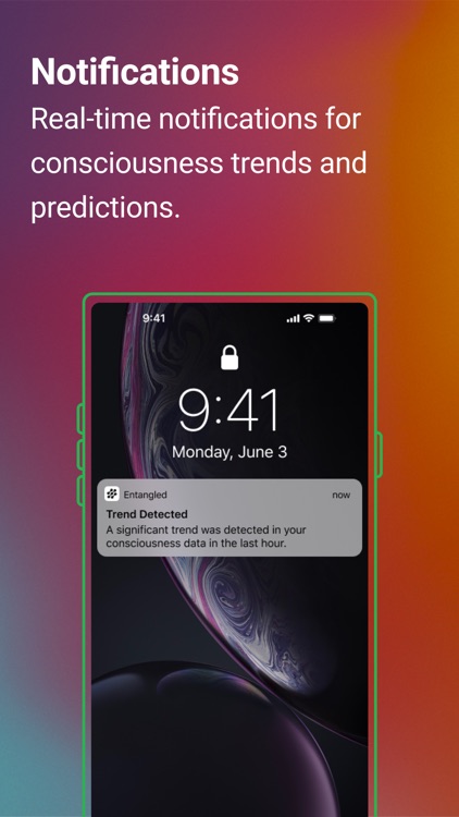 Entangled.org screenshot-3