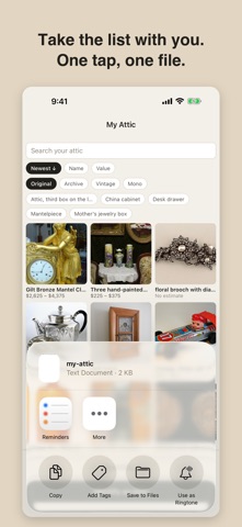 Attic: How Much Is It Worth Screenshot 5 of 5