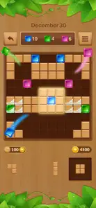 Block Puzzle Wood Master screenshot #2 for iPhone