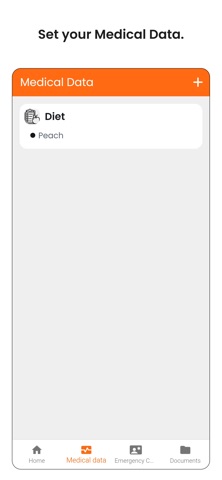 Ice-Key Plus Screenshot 2 of 4