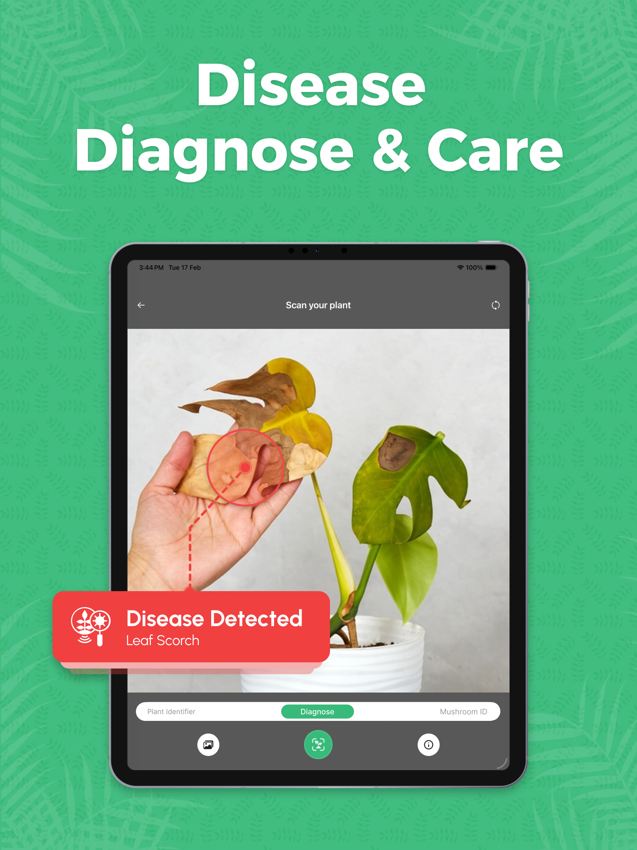 Plant Identifier & Care Guide: screenshot 6