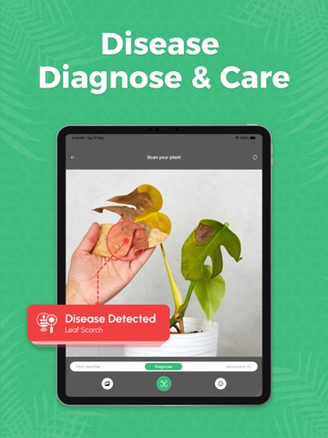 Plant Identifier & Care Guide: iPad screenshot