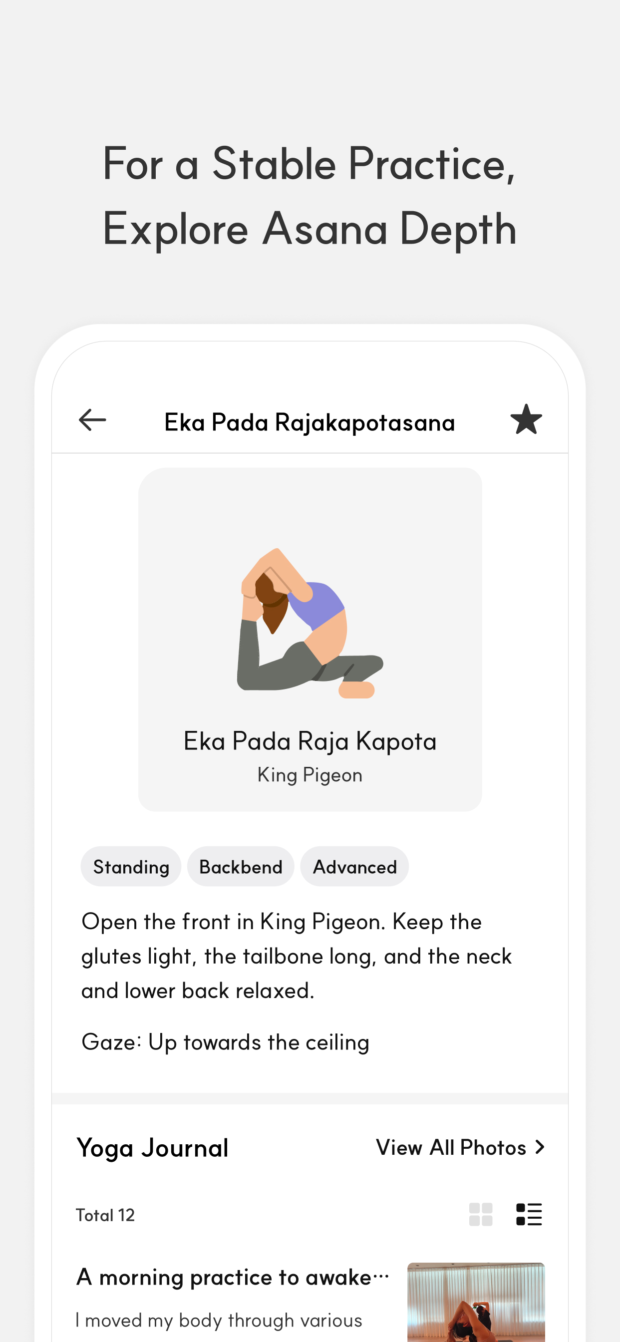 Yoga Asana Journal