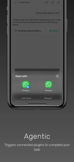 Ningenie -Don't Ask, Just Task screenshot 4