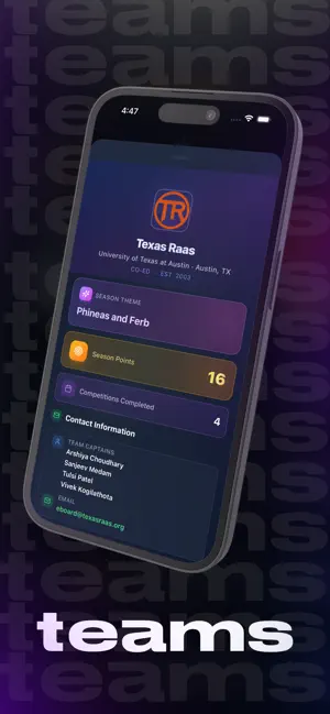 Raas All-Stars screenshot 2