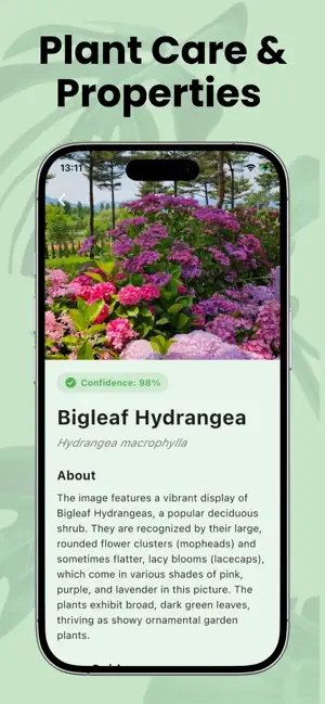 Picture Plant Identifier screenshot 3