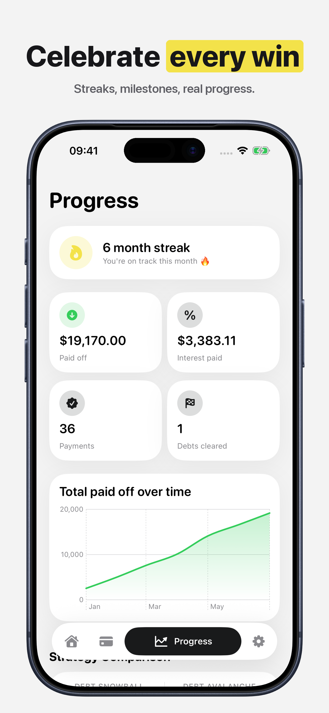 Debt Snowball Calculator Snolo screenshot 6