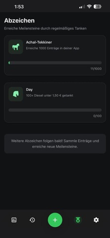 Dayfuel screenshot