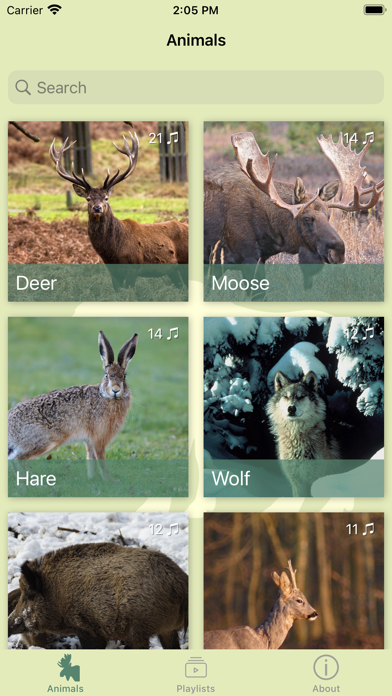 Animal decoy Screenshot