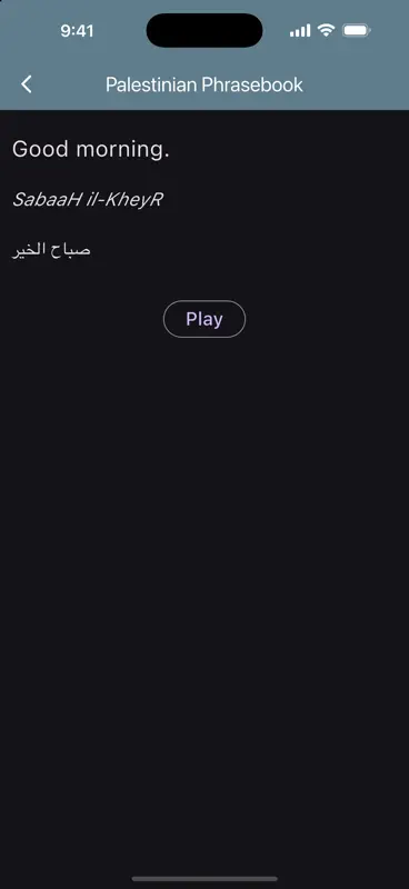 Palestinian Phrasebook screenshot 10 of 10
