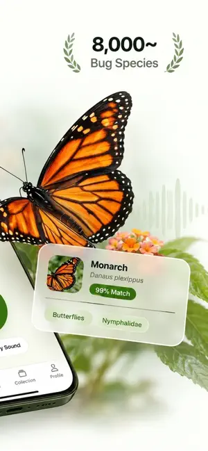 Buggy: Bug Identifier screenshot 2