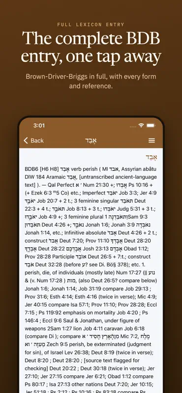 iHebrew - Biblical Hebrew aids screenshot 4 of 10