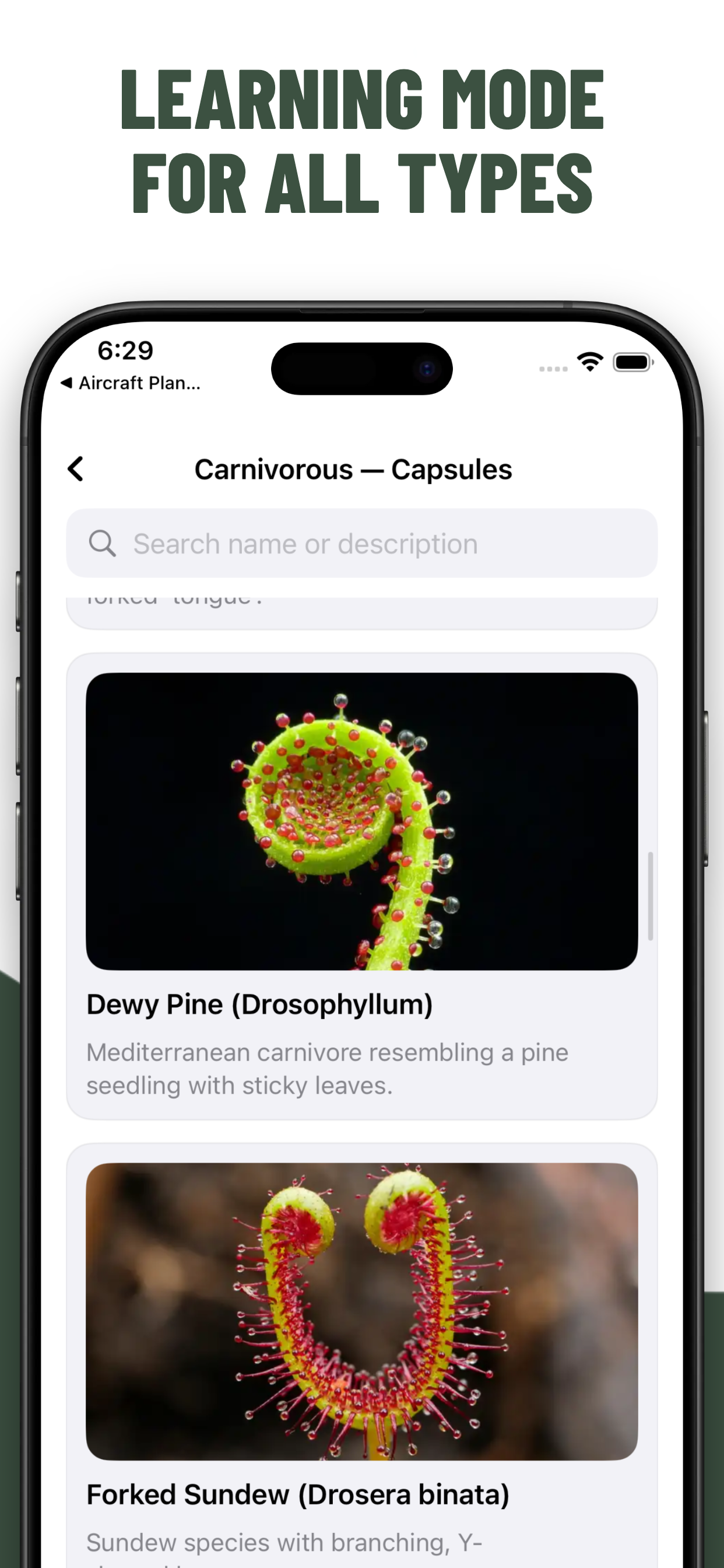 Plant Quiz Guess Trees screenshot 4