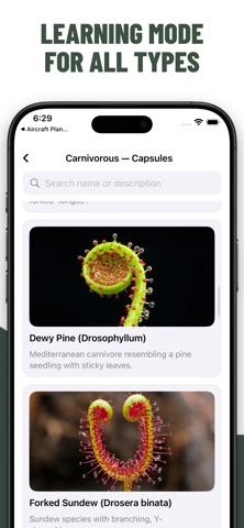 Plant Quiz Guess Trees screenshot