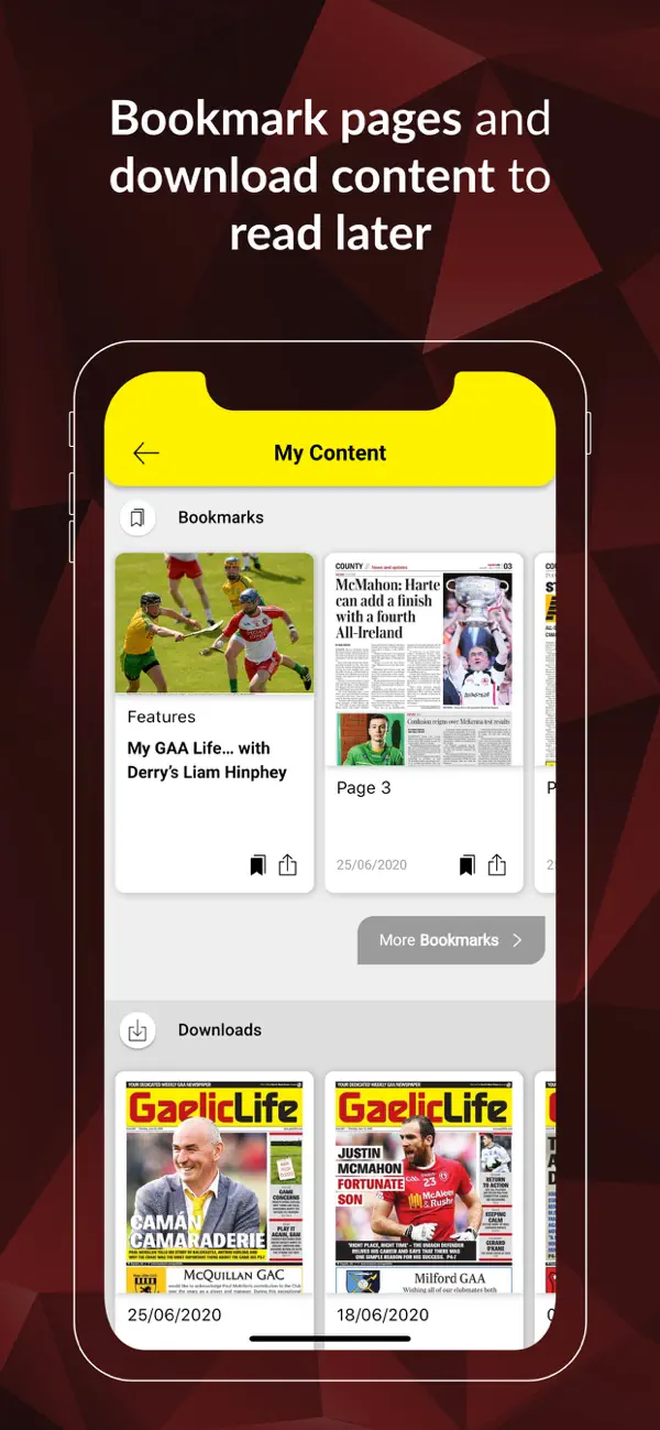 Screenshot #3 pour Gaelic Life