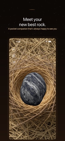 iPetRock Screenshot 1 of 7