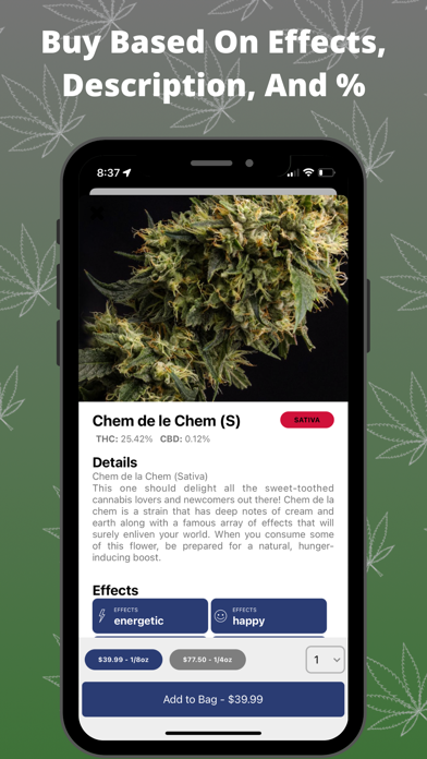 South Shore Buds Screenshot