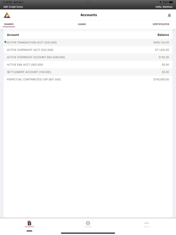 Premier View Mobile iPad screenshot 2 - Finance app