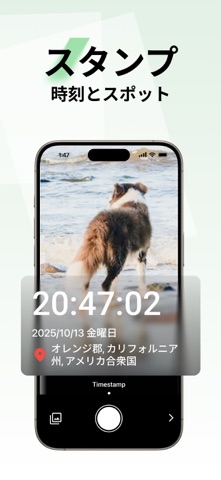 スキャン - Lens のスクリーンショット