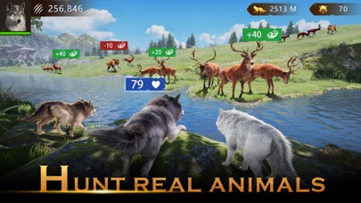 Wolf Game: Wild Animal Wars Screenshot