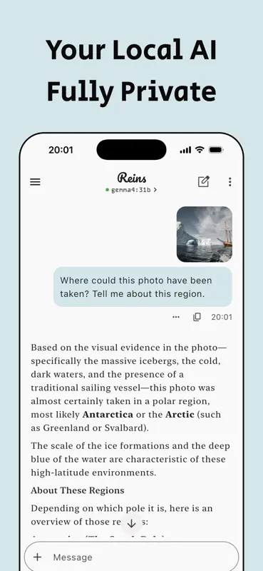 Reins: for Ollama & LM Studio screenshot 1 of 10