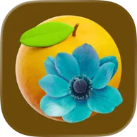‎Orange and Teal, Preset Camera