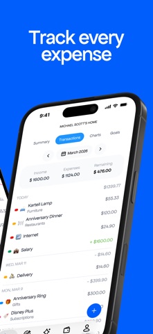 Money Counter: balance screenshot