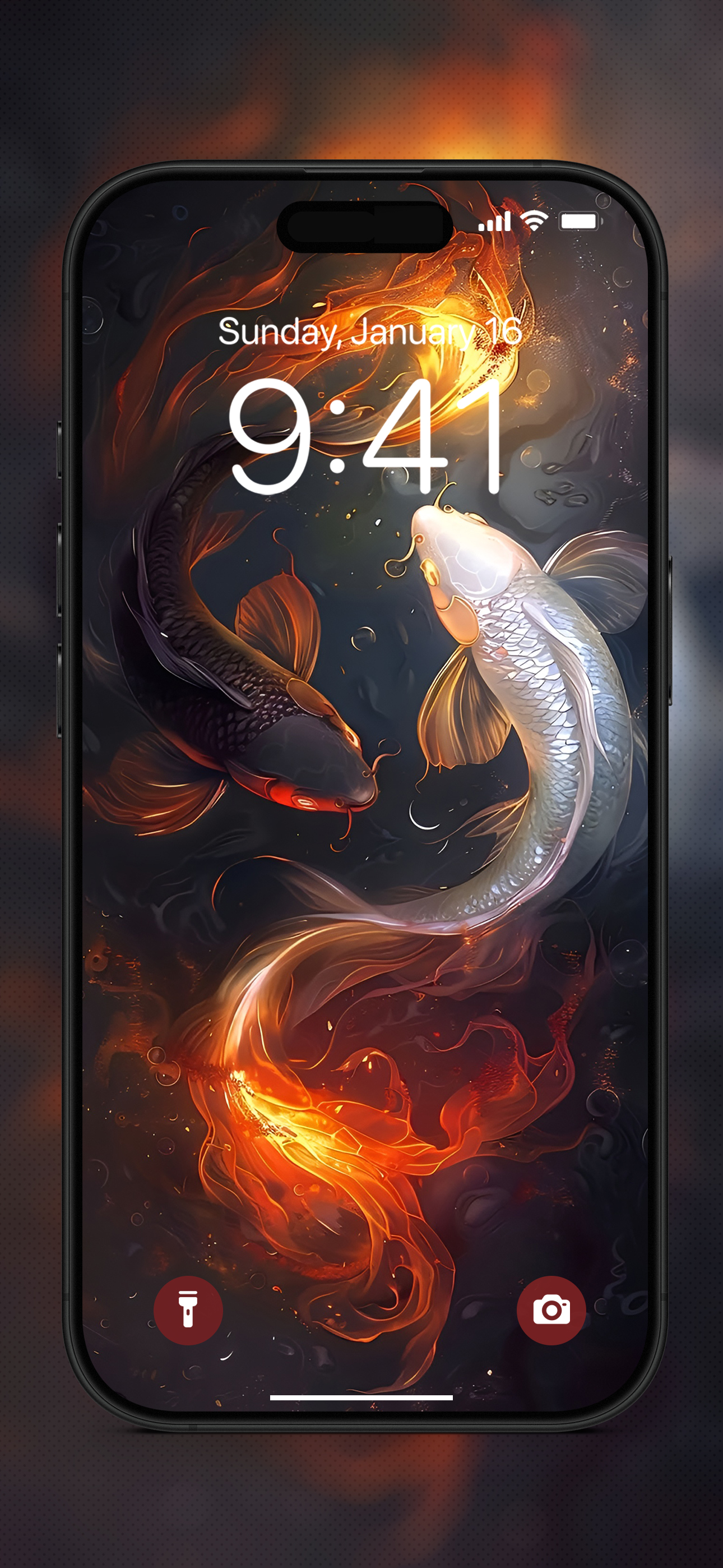 Koi Wallpapers