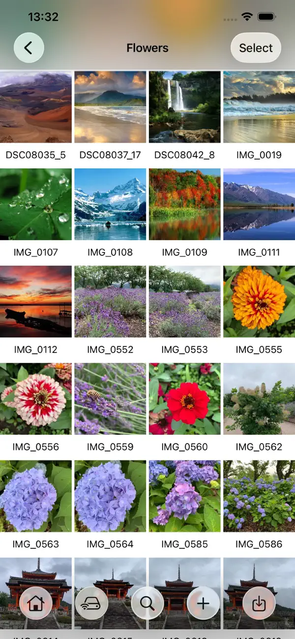#2. Photo Manager Pro (iOS) Por: Skyjos Co., Ltd.