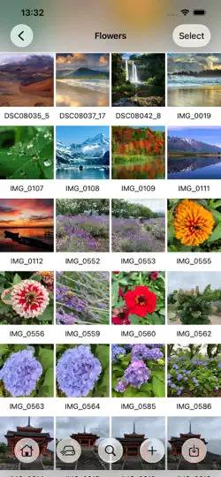 Captura de pantalla de Photo Manager Pro en iPhone 2