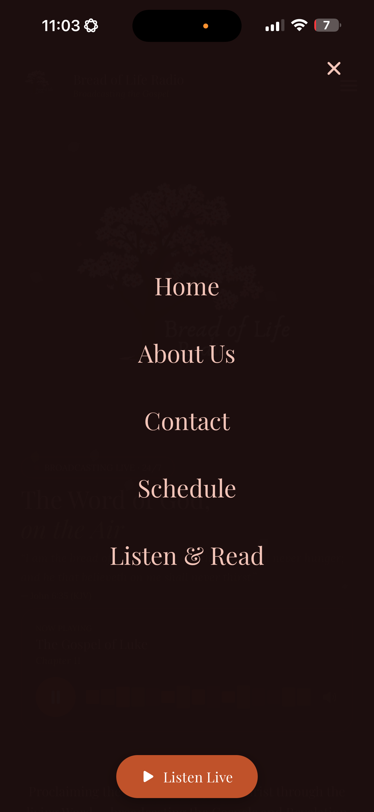 BREAD OF LIFE RADIO screenshot 4