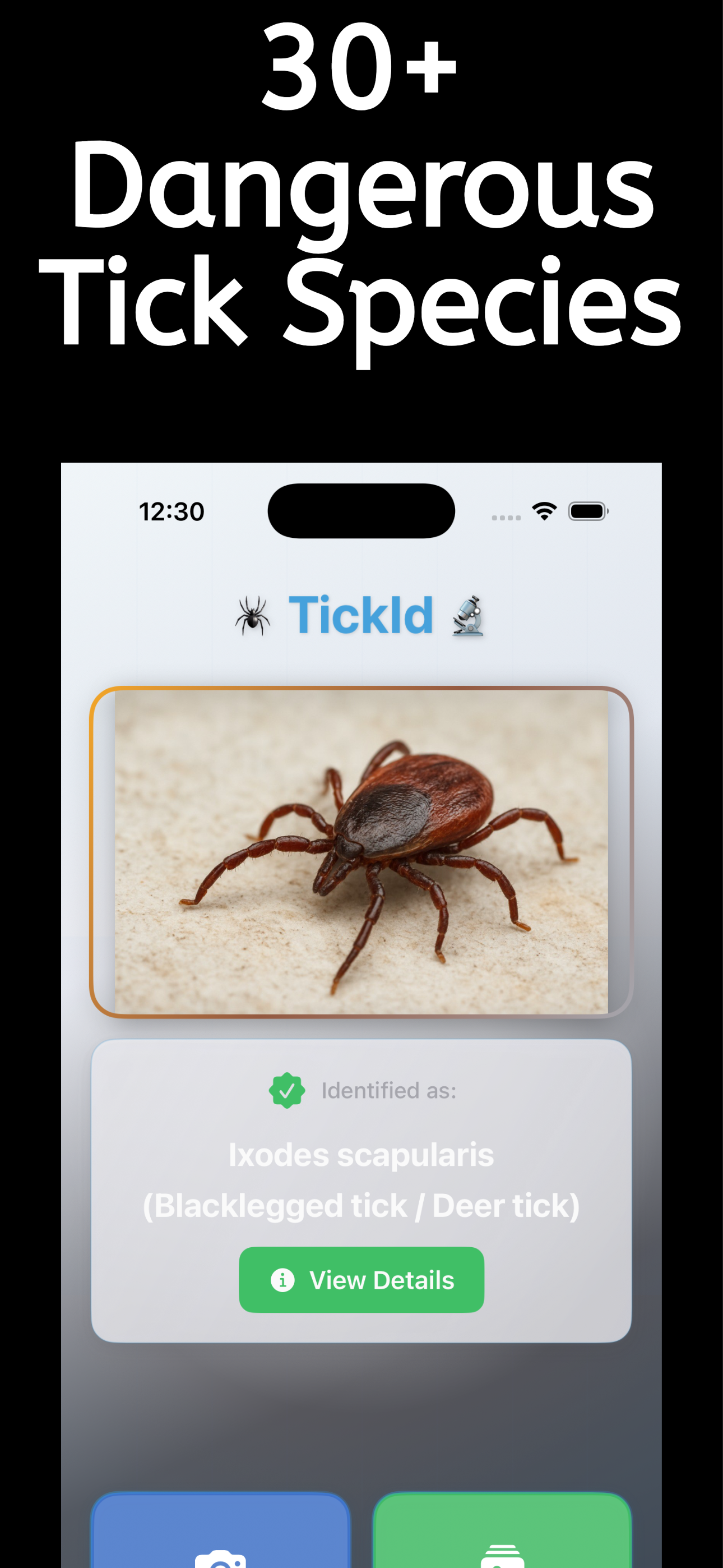 Tick : Tick Identifier screenshot 3