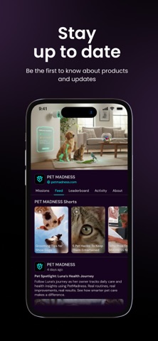 Pet Madness Hub Screenshot 4 of 5