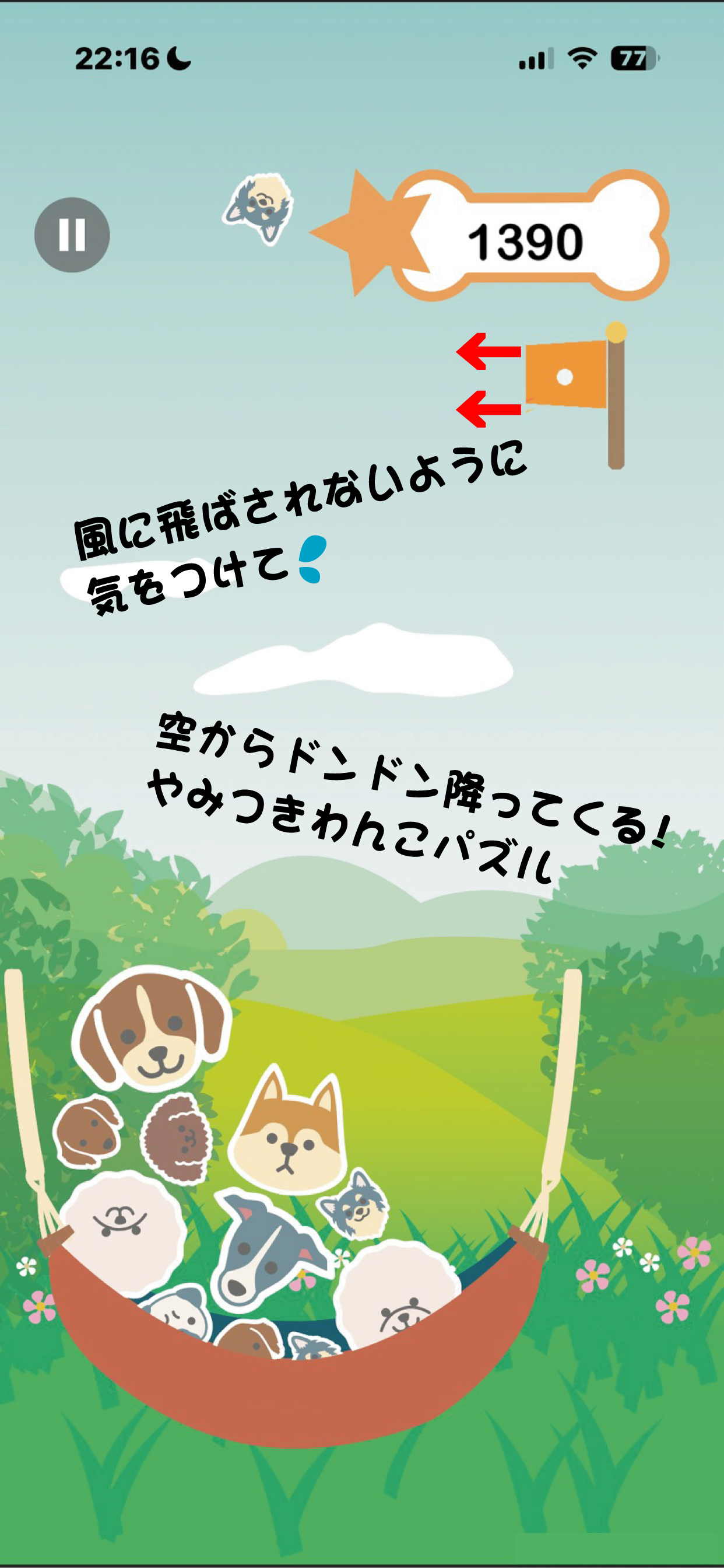 ワンdaふる