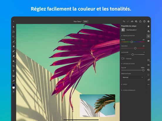 Adobe Photoshop:Retouche Photo Screenshots