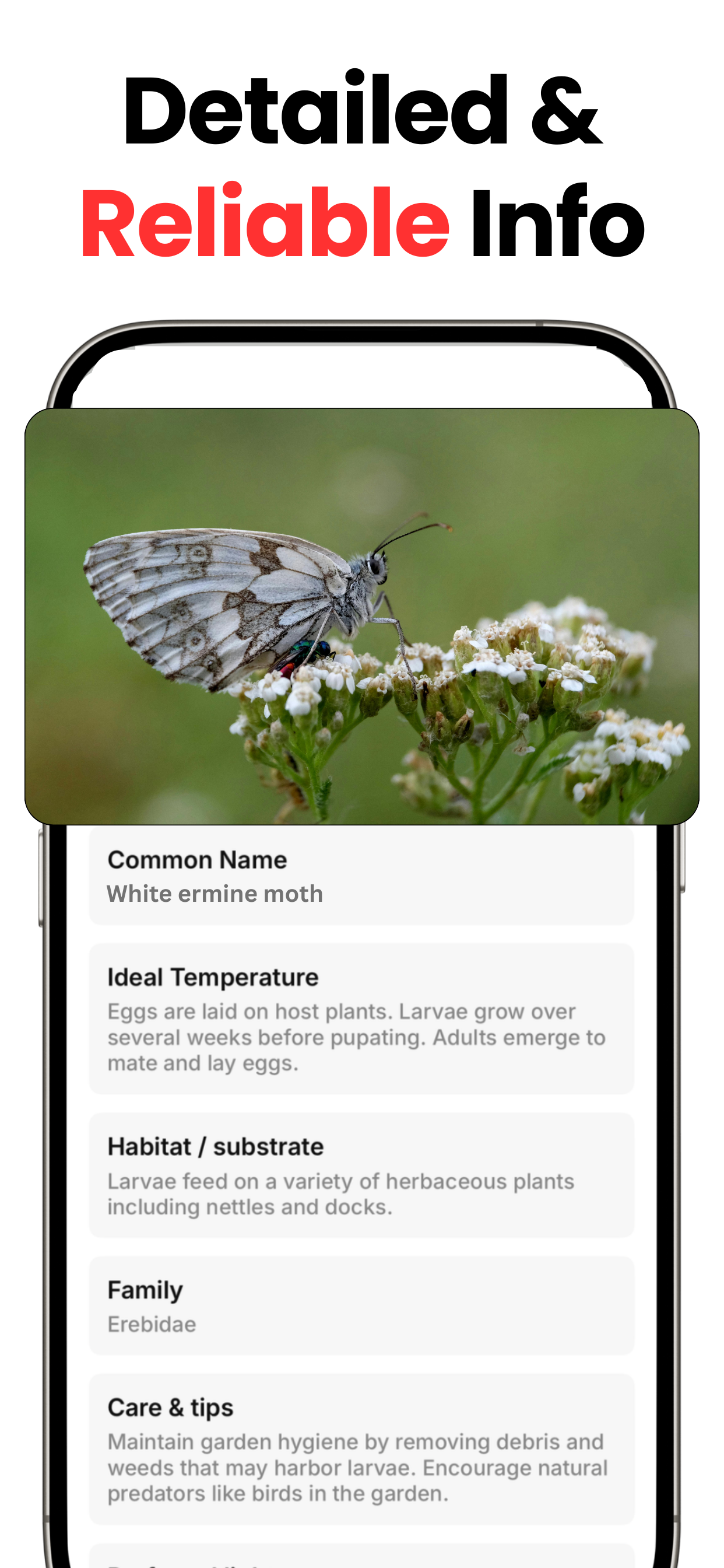Bug ID: Insect Identifier AI screenshot 4