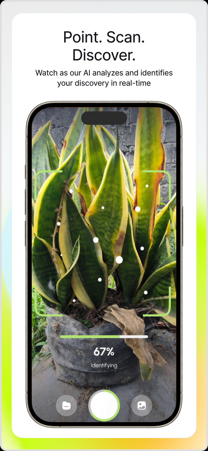 Nature ID: Plant & Animal screenshot 2