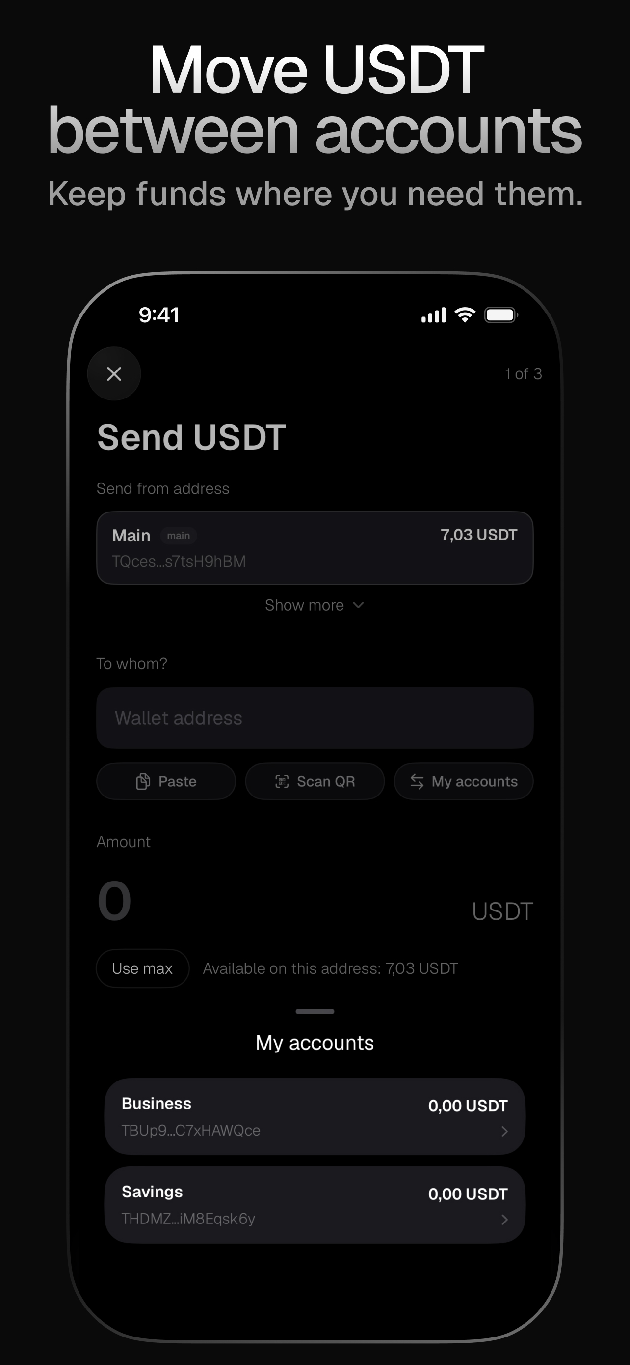 Mesh: USDT Wallet