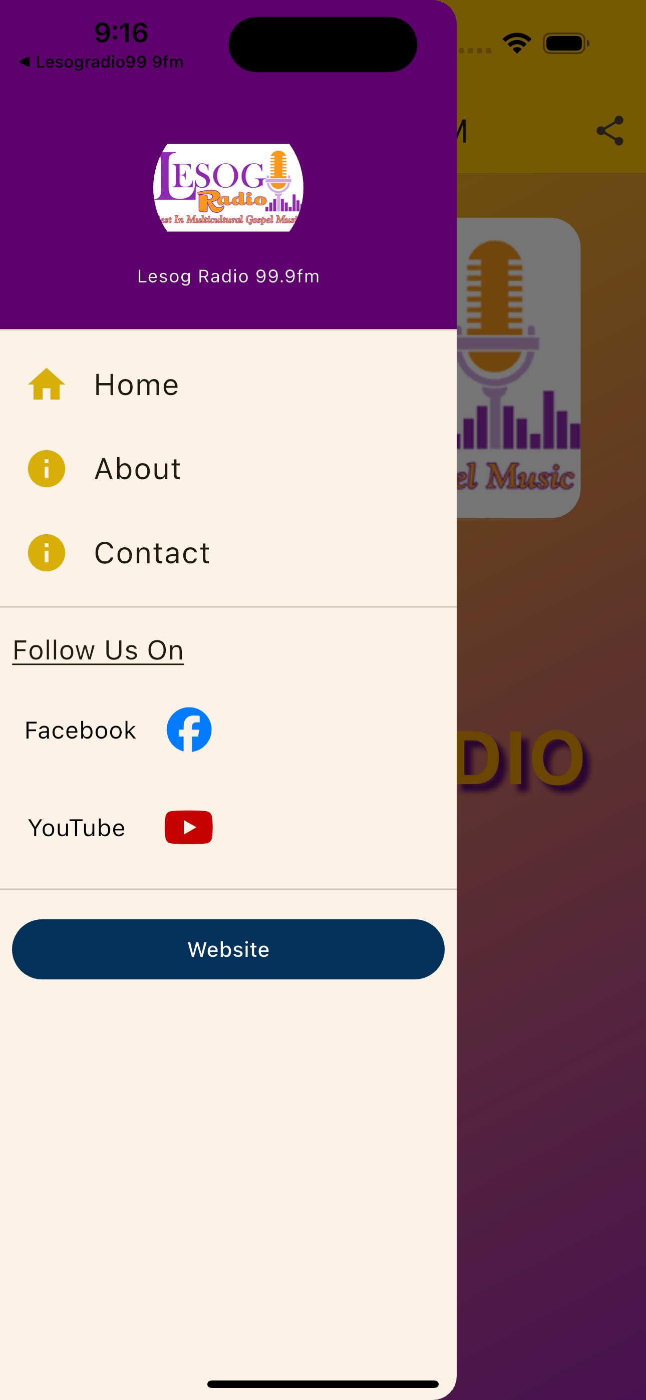 Lesog Radio.99 screenshot 1