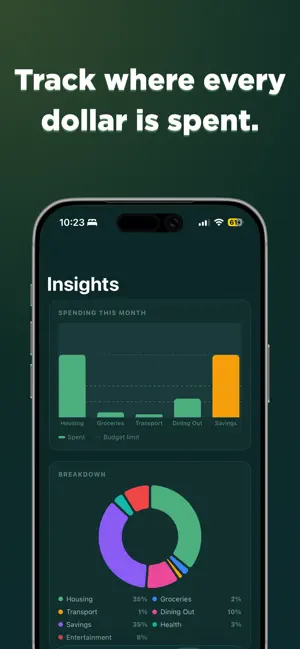 Raydient screenshot 3