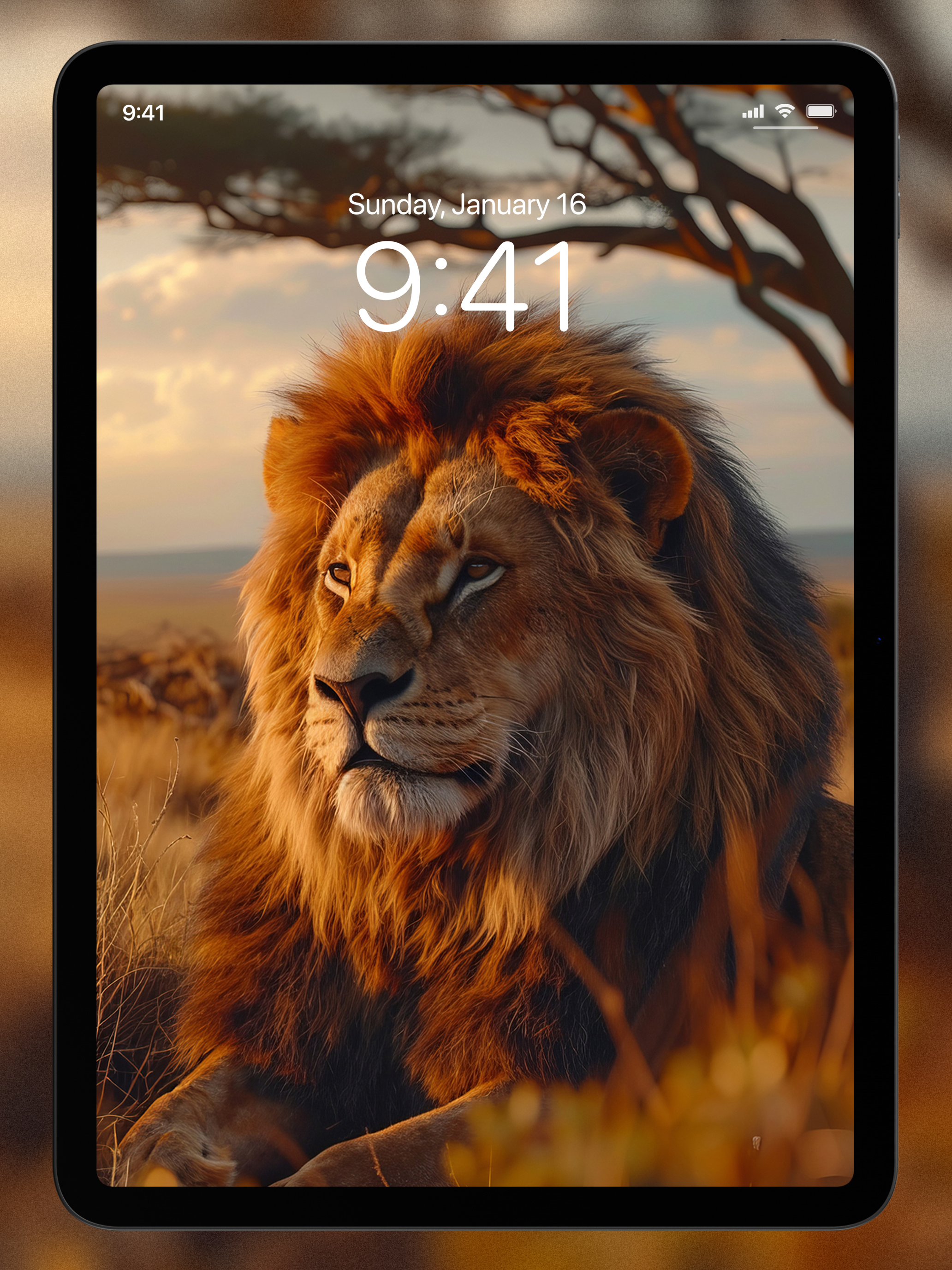 Lion Wallpapers 4K | HD screenshot 12