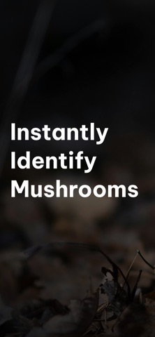 Mushroom Identifier: Scan & ID screenshot